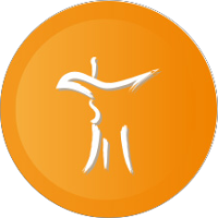 白酒及黄酒展区（传统酒类）